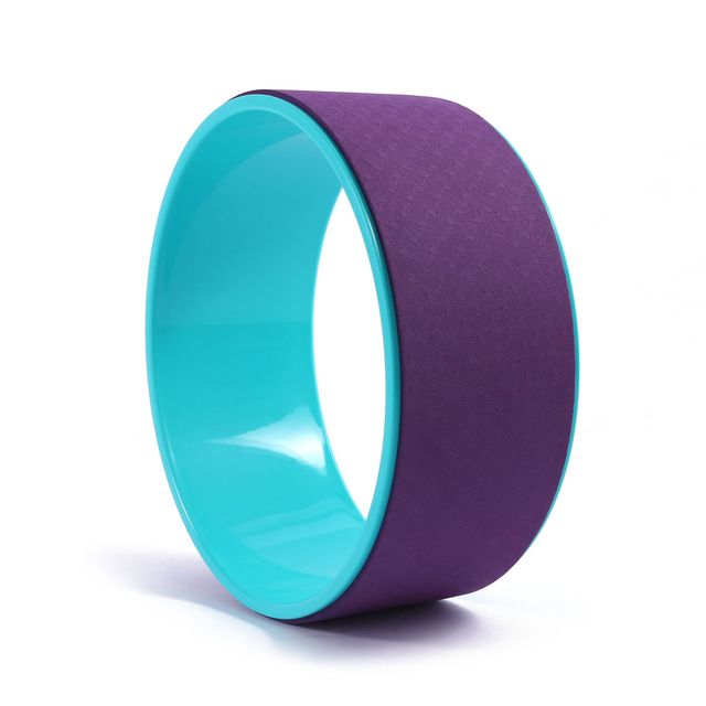 19cm Big Dot Yoga Wheel – Pilates & Fitness Equipment